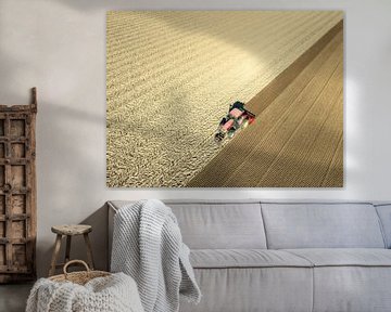 Tractor bewerkt de grond in de lente van bovenaf gezien van Sjoerd van der Wal Fotografie