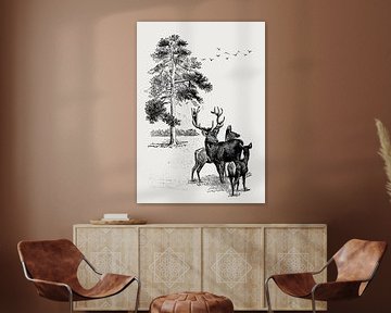 Deer family in the forest van Fineline