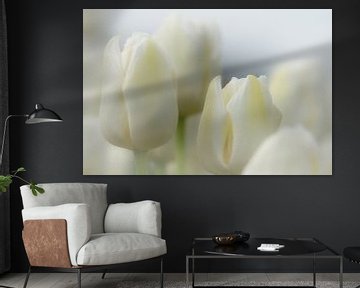Tulpenpracht van Nick Holland