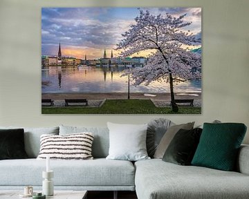 Cherry blossoms in Hamburg, Germany by Michael Abid
