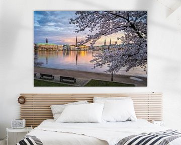 Kirschblüten in Hamburg, Deutschland von Michael Abid
