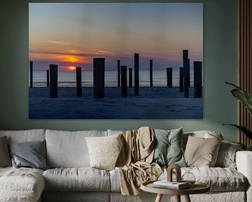 Palendorp Petten