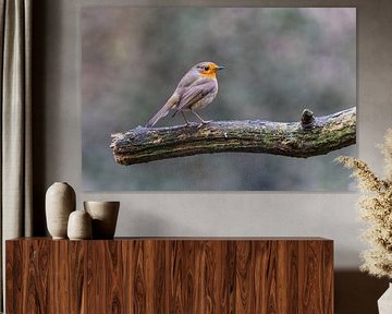 Robins von Marieke Deinum