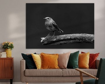 Robins von Marieke Deinum