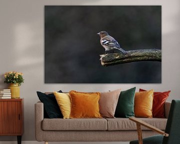 Natuurfotografie van Marieke Deinum