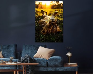 Jonge leeuw in zonsondergang van Art & Soul Creations