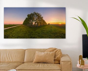 Panorama compositie met bomen in de Carel Coenraadpolder van Henk Meijer Photography