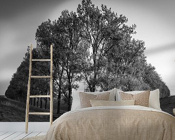 Schwarz-weiße Komposition mit Bäumen im Carel Coenraadpolder