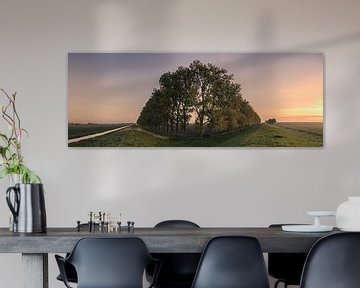 Panorama compositie met bomen in de Carel Coenraadpolder van Henk Meijer Photography