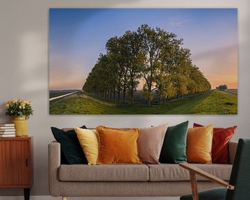 Zonsopkomst met een compositie met bomen in de Carel Coenraadpol van Henk Meijer Photography