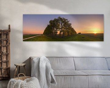 Panorama compositie met bomen in de Carel Coenraadpolder van Henk Meijer Photography