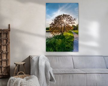 Baum vor Sonnenuntergang von Jurjen Jan Snikkenburg