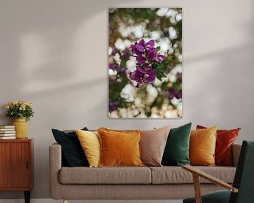 Purple flowers