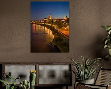 Maagdenburg - Aan de Elbe bij nacht van t.ART