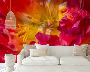 Macro photo of a peony by Bob Janssen