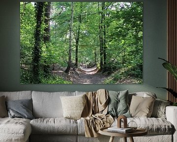 Rinnen auf dem Waldweg