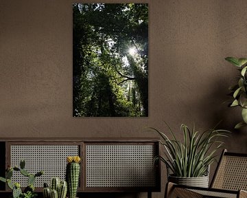Die Decke mit Licht