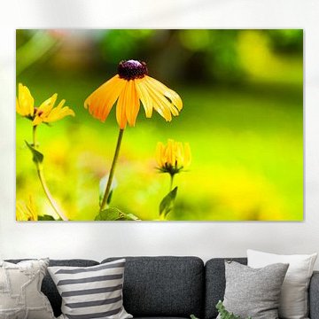 Zonnestralen in een bloemenjurk - close-up van het oog van het meisje