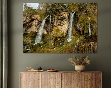 Rifle Falls in Rifle Falls State Park van Eva Rusman