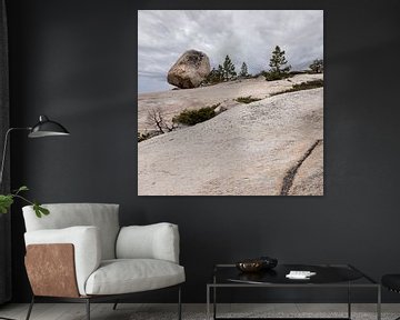 Rotsblok in Yosemite National Park van Anouschka Hendriks