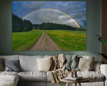 Lente in het Zwarte Woud van Tanja Voigt