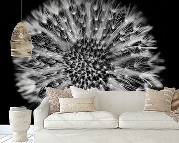 Dandelion by Helma Tielemans