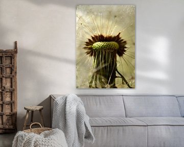 Inside the dandelion by Hilde Remerie Photography and digital art