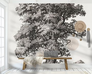 The Summer Read von Marja van den Hurk