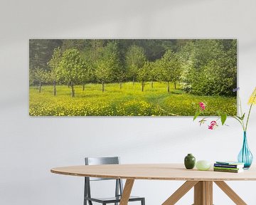 Savelsbos, Zuid Limburg van Ton Drijfhamer