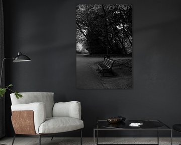 Banc de parc romantique, noir et blanc sur Iris de Gelder