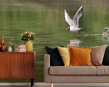 Auf dem Wasser gehen