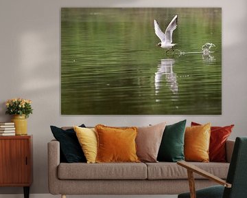 Op het water lopen van Art By Light Photography