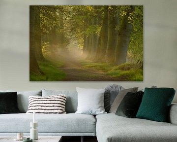 Buitenplaats bij zonsopkomst