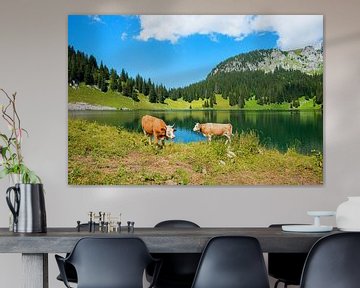 zwei Kühe grasen am Oberstockensee Schweiz von SusaZoom