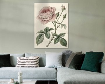 Botanische studie van vintage roos van Artistic