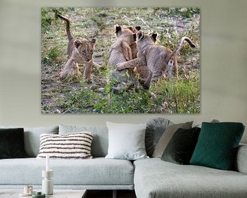 Verspielte Löwenjunge in der Wildnis Afrikas