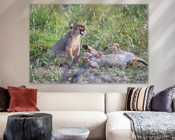 Verspielte Löwenjunge in der Wildnis Afrikas von Chi