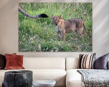 Süßes Löwenjunges in der Wildnis von Afrika von Chi