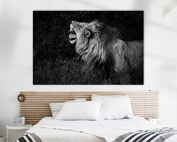 Leeuw aan het brullen in de natuur van Afrika van Chi