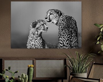 Zwartwit portret van twee cheetah's van Chi
