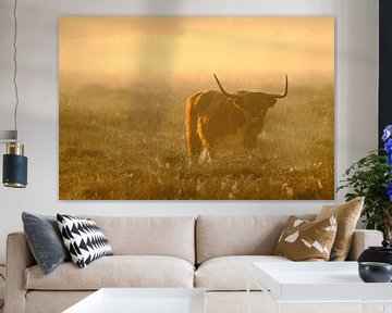 Schotse Hooglander van NatureBliss
