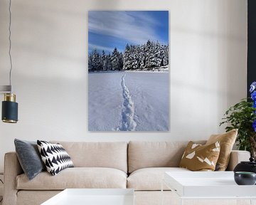 Footprints in the snow by Claude Laprise