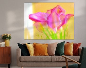 TULIPA VII