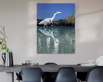 148. Blauwe reiger