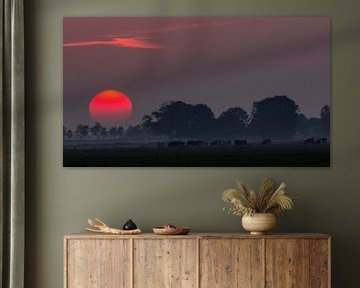 Cows grazing during sunset by Steven Valkenberg