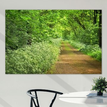 Lane by Monique Verlouw