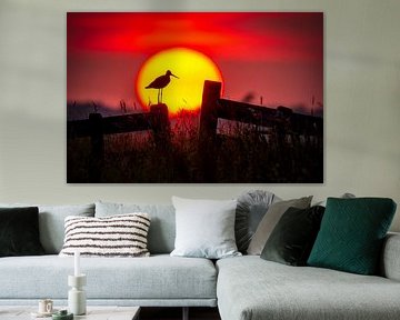 Uferschnepfe bei Sonnenuntergang von Laurens de Waard
