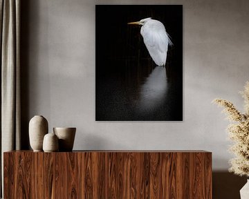 Grote zilverreiger van Laurens de Waard