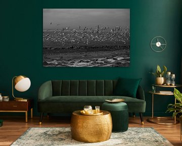 Waar de wind begint: een vlucht van zilveren vleugels boven het water, gevangen in het moment waarop stilte en beweging elkaar onverwacht ontmoeten van byphotographyms