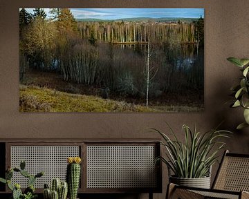 Glomma rivier. Een uitzicht op het verbazingwekkende en idyllische Noorse landschap. Herfstfoto van bergen en rivieren van Peter Jacek